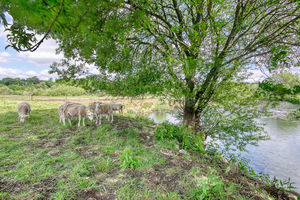 Additional Land- click for photo gallery